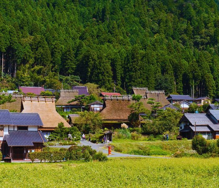 Houses in Japan: A Foreign Buyer’s Guide to What is in the Market