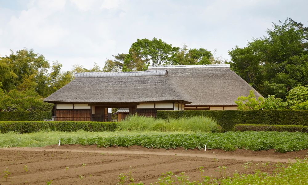 Where to Find Akiya in Japan Beyond English-Language Websites
